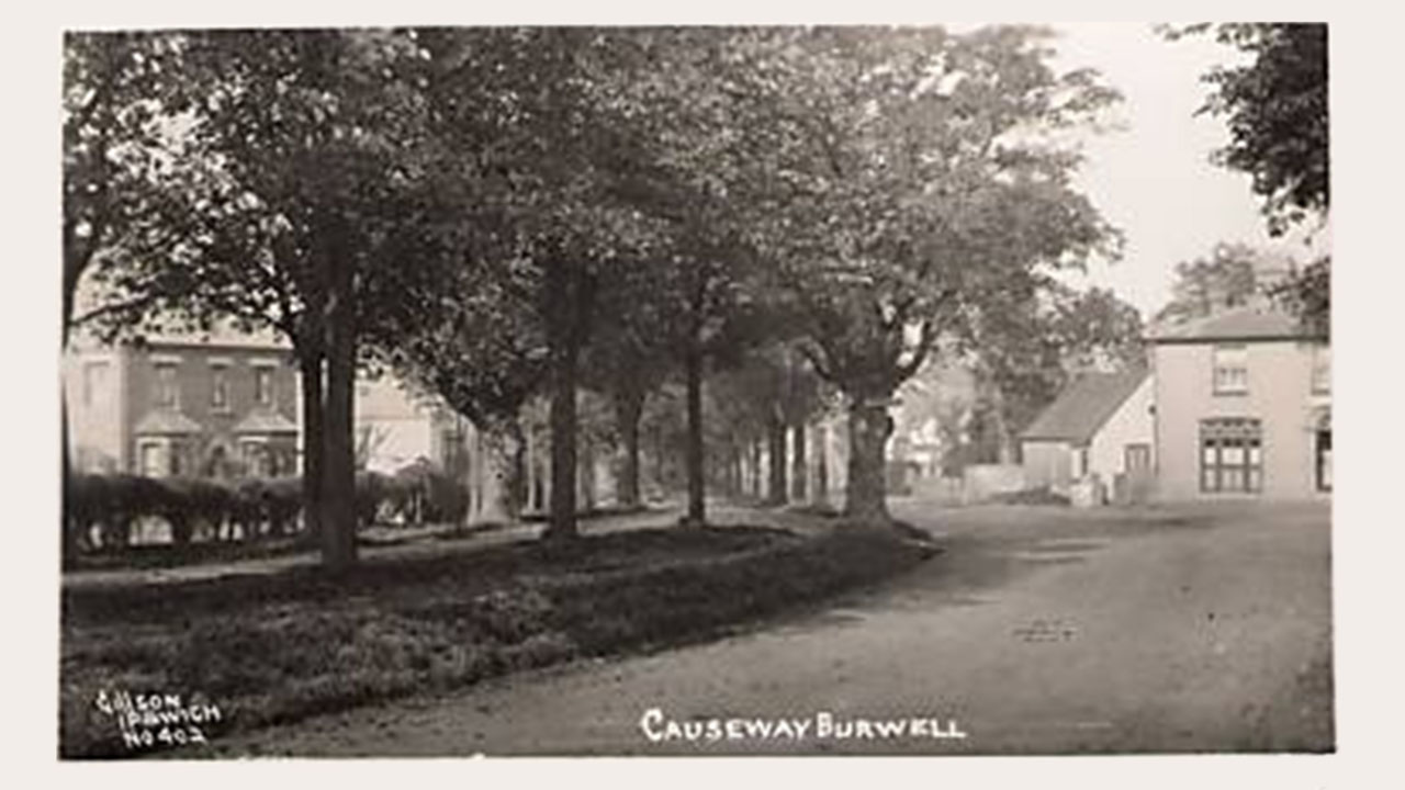 King William IV, The Causeway historical photo