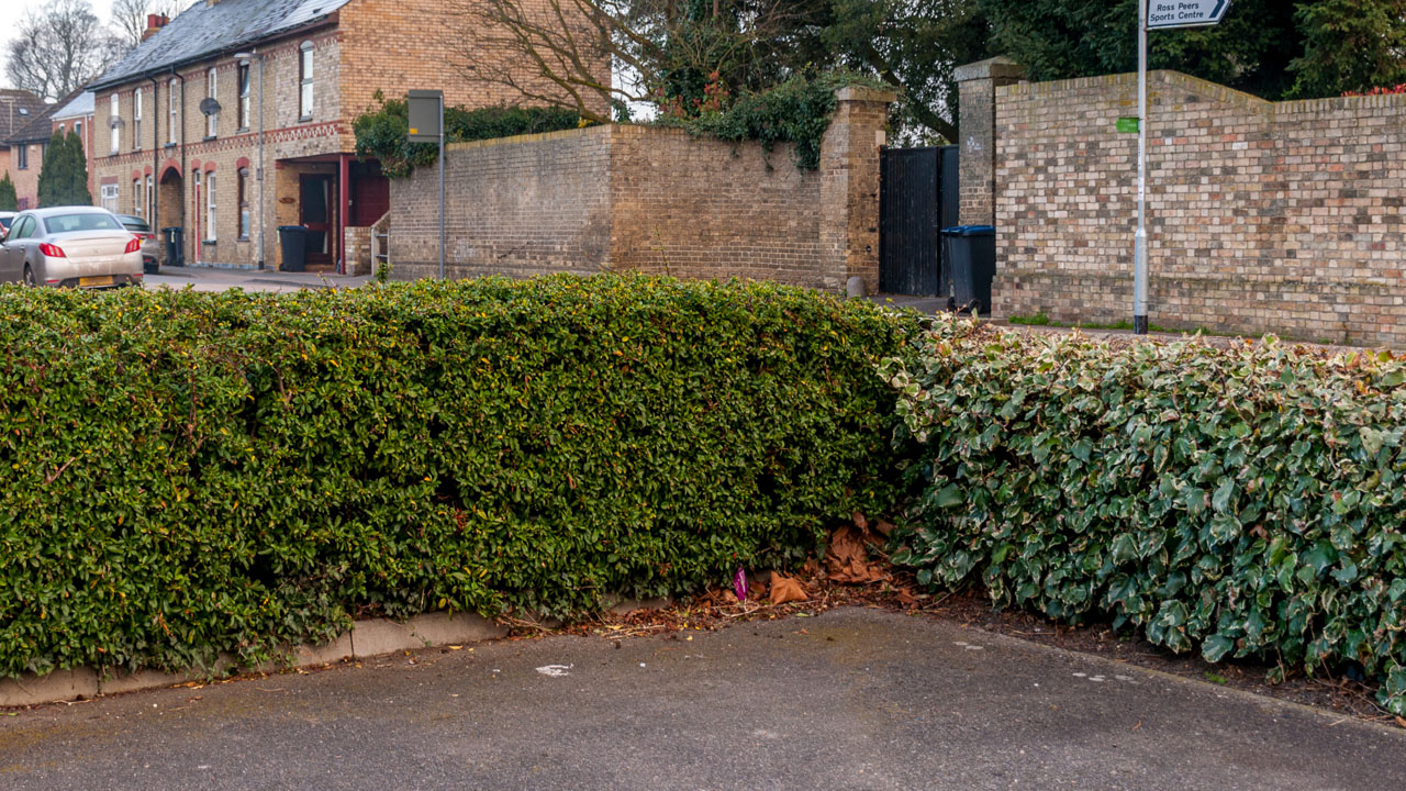 CE Primary School, Clay Street modern photo